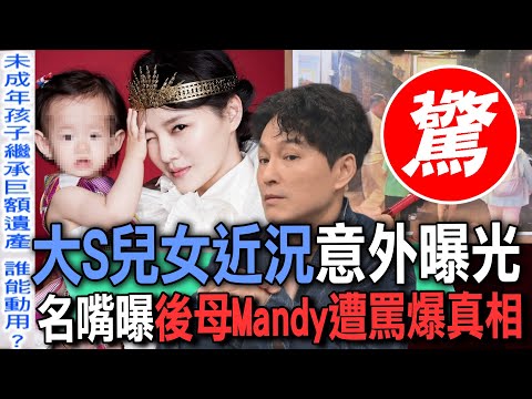 大S兒女近況意外曝光  名嘴曝後母Mandy遭罵爆真相【新聞挖挖哇】