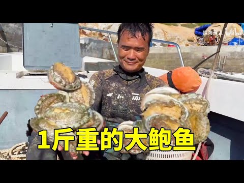 🔥 ​​【Live-action】Crazy mission! Accelerate and cross hundreds of kilometers | Giant creature disco