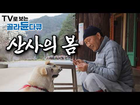 꽃이 흐드러지게 피는 봄이 오면 스님들은 더 바빠진다｜자연 그대로 밥상에 담아내고, 함께 땀 흘려 밭을 일궈내는 산사의 수행자들｜스님의 소박한 봄 한 그릇｜한국기행｜#골라듄다큐