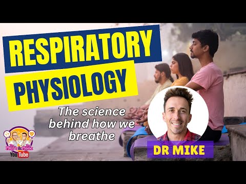 Respiratory Physiology | The Respiratory System