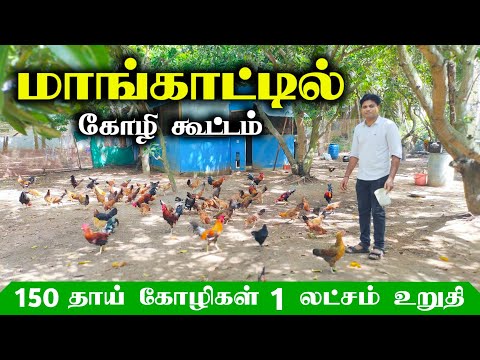 🐓If only it were like this! A farmer who thrives on raising children!