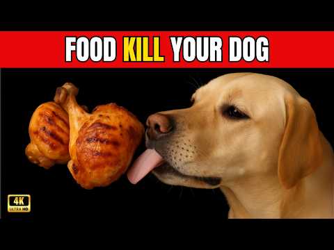 16 Foods Dogs Should NEVER Eat (Even If They Beg for Them!)