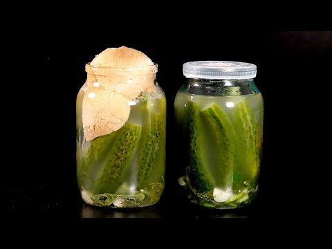 Малосольные огурцы  ТЫ ВСЁ ДЕЛАЕШЬ НЕ ТАК! 7 обалденных рецептов малосольных огурцов
