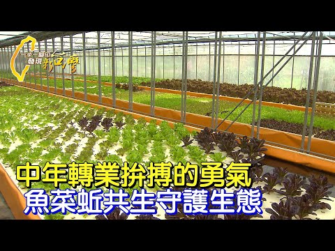 瘋狂阿伯的快樂農場 中年轉業研究"魚菜蚯"共生 為守護生態而拼搏的勇氣∣一步一腳印【魚菜共生拚搏的勇氣】20230521