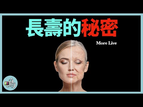 長生不老，谷歌預言2045年實現永生，衰老的原因到底是什麼？l 老鳴TV