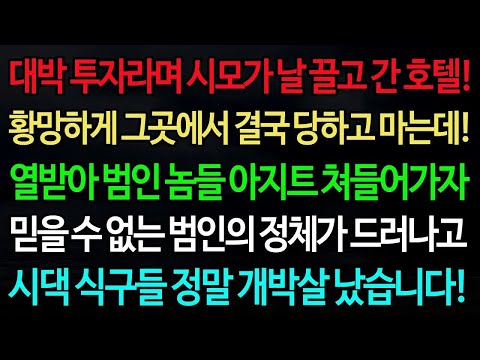 실화사연 대박 투자라며 시모가 날 끌고 간 호텔! 황망하게 그곳에서 결국 당하고 마는데! 열받아 범인 놈들 아지트 쳐들어가자  노후 사연 오디오북 인생이야기