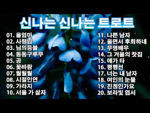 신나는 신나는 트로트 | KPOP [ TROT ] | PLAYLIST🎷( 꽃길.상사화.여인의 눈물.회룡포.바람길...)🎷