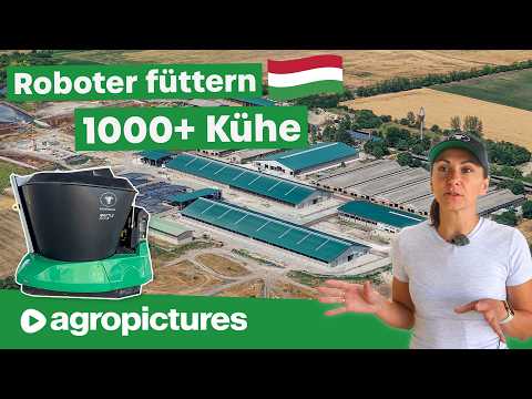 XXL dairy farm in Hungary 🐄🇭🇺 1000+ cows automatically fed with Wasserbauer feeding robot