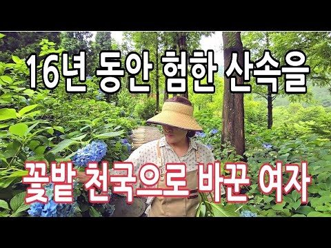 A remarkable woman who transformed hundreds of thousands of pyeong of mountain into a paradise wi...