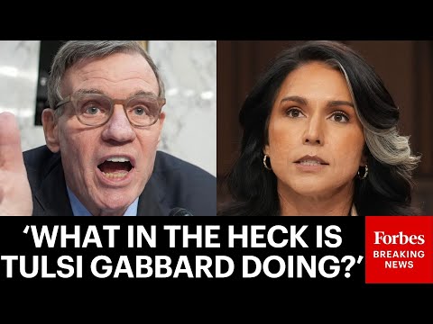 Mark Warner Raises Alarms Over Tulsi Gabbard's Involvement In Fulton County Election Center Raid
