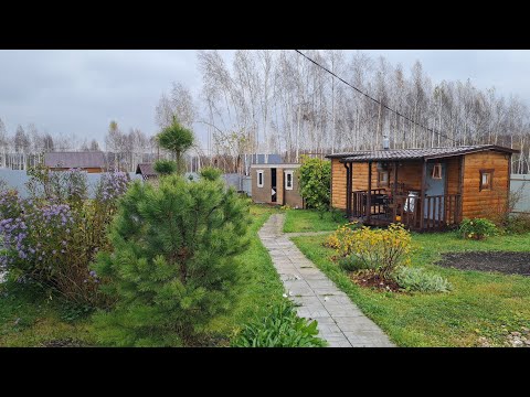 На даче. Последние тёплые дни. Осень🍂