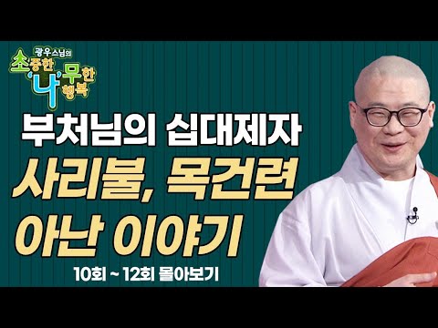 부처님의 십대제자 중 사리불, 목건련, 아난 이야기 [광우스님 소나무 3편 몰아보기]