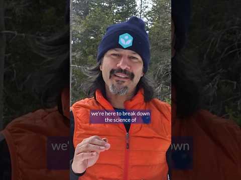 Why This Snowball Won’t Melt 🔥❄️