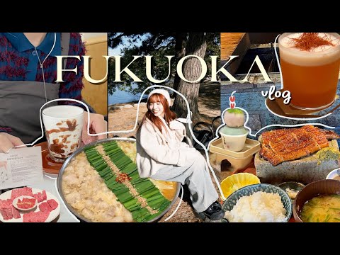 Fukuoka Vlog | Pharmacy-style BBQ, Special Beef Intestine Hot Pot 🍲, Super Popular Bar 🍸 | Fukuok...