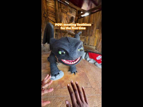 Get your Dragon Manual ready! Meet Toothless only at How to Train Your Dragon - Isle of Berk.
