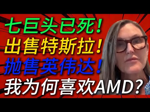 Ark Capital's Cathie Wood: Why We Kicked Tesla Out of the "MAG7" and Reduced Our Tesla Holdings? ...