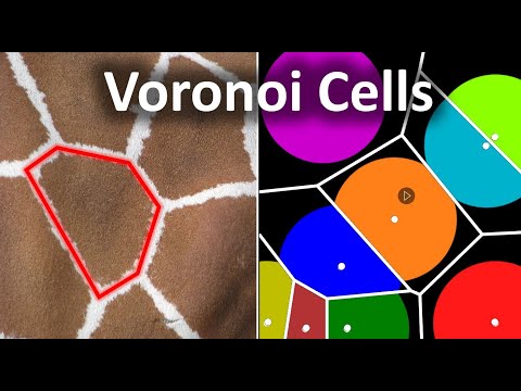 Why this pattern shows up everywhere in nature || Voronoi Cell Pattern
