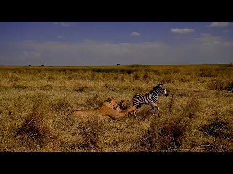 This may seem cruel but it is not