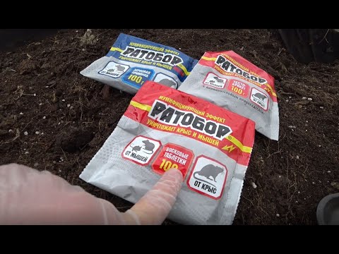 Проверенное средство от грызунов