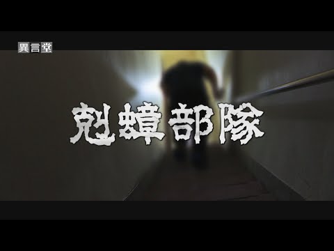 【民視異言堂｜租屋蟑螂 剋蟑部隊(下)】蟑螂剋星 驅蟑招數公開 請惡房客搬離 如何自保 避免踩法律紅線