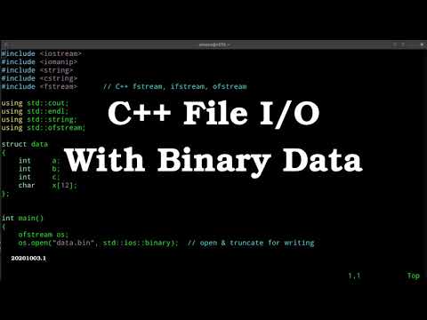 C++ Binary File I/O