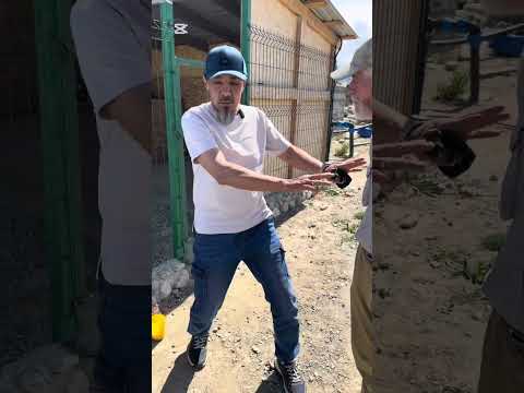 Агрессия на хозяев.