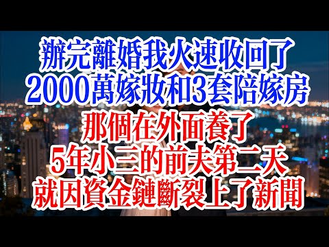 辦完離婚，我火速收回了2000萬嫁妝和3套陪嫁房，那個在外面養了5年小三的前夫，第二天就因資金鏈斷裂上了新聞#故事頻道 #爱情故事 #出軌 #婚姻