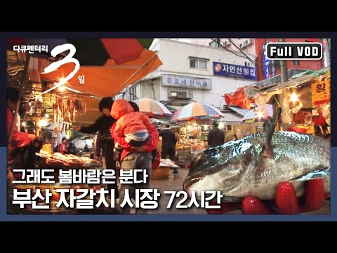 [Documentary 3 Days ★ Full Version] Warm Spring Comes to Busan's Jagalchi Market | "Still, the Sp...