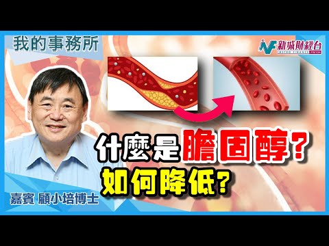 【我的事務所】什麼是膽固醇？吃藥也無法降低？這款健康食品幫到你！｜顧小培 劉婉芬