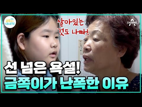 [#금쪽이몰아보기] "죽어!" 거친 욕설과 함께 가족과 전쟁 중?! 초기 사춘기 금쪽이 이야기 #오은영 #금쪽같은내새끼 | 금쪽같은 내새끼 174 회