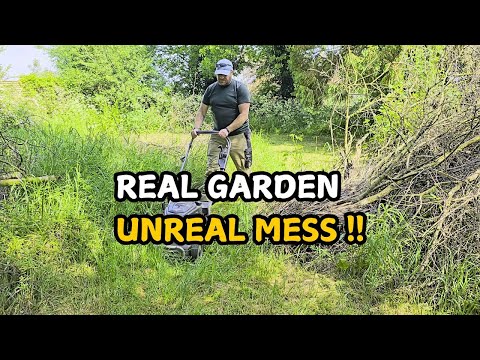 This Yard Was Completely Out of Control | Neglected 17th Century Garden
