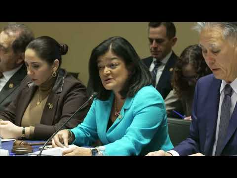 Rep. Jayapal Shadow Hearing on Trump's Immigration Crackdown & Detention Centers