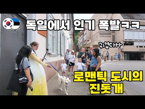 독일 최고의 로멘틱 도시에 등장한 진돗개에 관심 폭발한 수많은 관광객들 ㅋㅋ