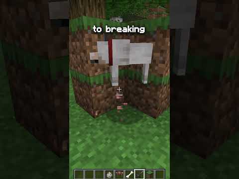 Minecraft made changes to the END of the GAME?!