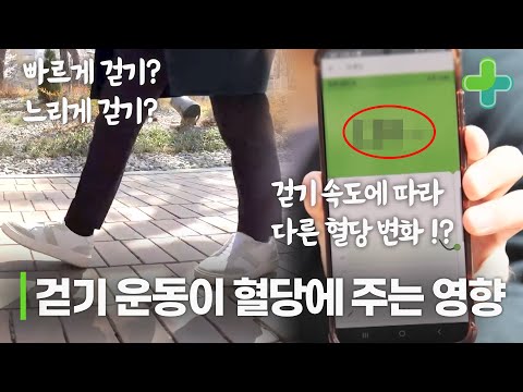 식후 1시간, 걷기 운동이 혈당에 영향을 미친다?