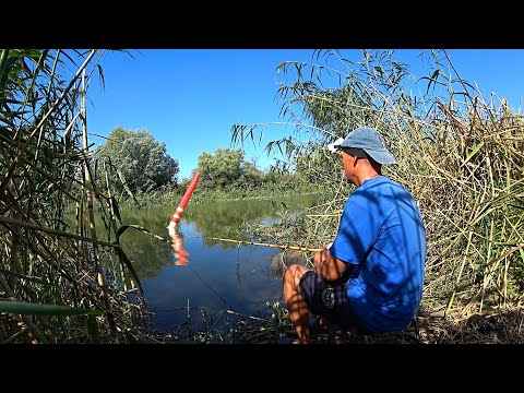 ВСЕ ТАК ЛОВИЛИ. БАМБУКОВАЯ УДОЧКА СО ВРЕМЁН СССР. Рыбалка на поплавок в камышах. Поплавочная удочка