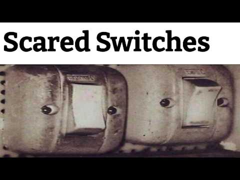 Seeing Faces In Things