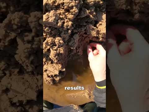 The Key Skill to Success