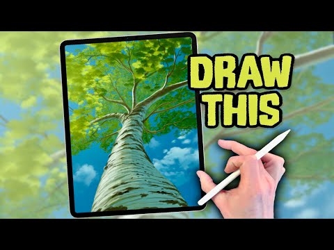 PROCREATE DRAWING Tutorial Landscape in EASY Steps - Tree Canopy sky