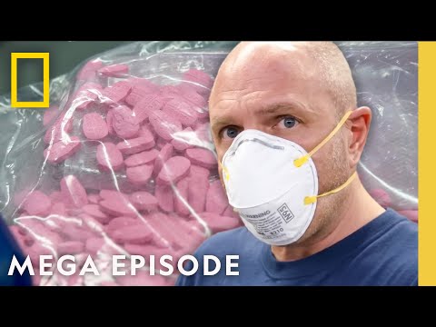 To Catch a Smuggler: Trafficking Busts | S4 MEGA EPISODE | National Geographic