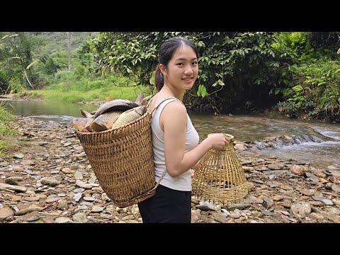 The girl left the city to live in the forest – she caught a huge school of fish with her baskets.