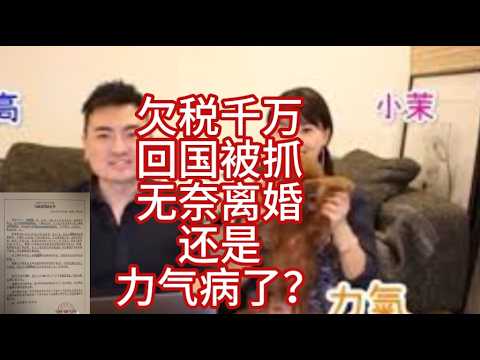 小茉回国被扣，老高缴纳百万美元税款，无奈离婚|老高小茉停更半年，网络传言再次进化