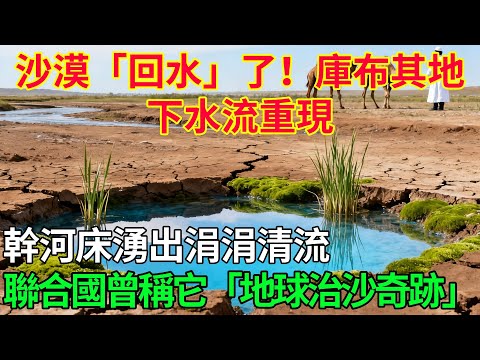 沙漠「回水」了！庫布其地下水流重現，幹河床湧出涓涓清流，聯合國曾稱它「地球治沙奇跡」 #科普#國際觀點#熱門#生態修複#沙漠
