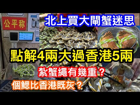 北上買大閘蟹迷思｜點解大陸4兩重比香港5兩仲大隻？｜紮蟹的繩可以有幾重？｜內地買到既蟹個鰓比較灰？｜深圳食蟹都是港人皆因深圳人唔夠錢食靚蟹？