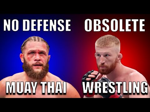 The Problem With Every Martial Art in MMA