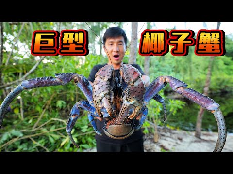 《所罗门群岛》第4集:28小时荒野挑战,满山遍野布陷阱,只为捕获巨型椰子蟹 #荒岛探索 #潜水 #赶海 #椰子蟹 #抓龙虾 #荒野挑战 #抓螃蟹 #ocean #underwaterfinds