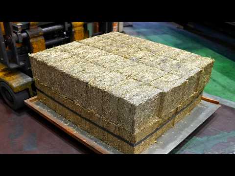 Top 5: No Waste! Reuse! The Japanese Recycling Process!