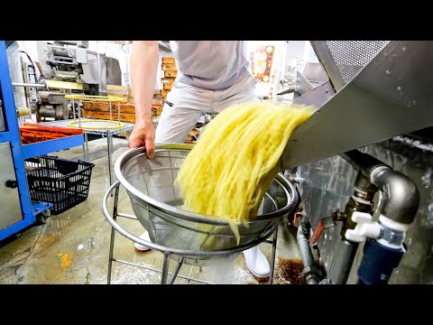 早朝４時から始まる怒涛の大量生産！創業１００年続く素朴なうどんそば製麺所食堂の１日丨Japanese Noodles Udon Soba