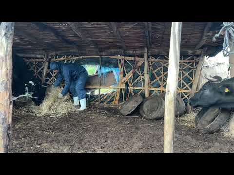 الأشغال لاتنتهي في البادية ,أمطار الخير إن شاءالله و الله يهدي مخلق