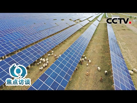 青海昔日戈壁滩变身“光伏海” 探访全球最大光伏发电园区，世界顶级光伏技术、产品都在此“同台竞技”！ | CCTV「焦点访谈」20231126
